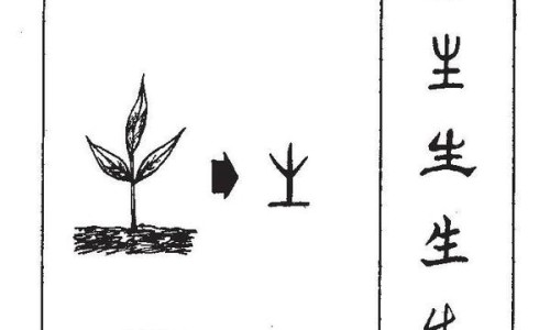 性生活过度会记忆力下降-权威同房过多记忆力会减退吗平台,分享专业性生活会影响记忆力知识_做爱后记忆力不好网