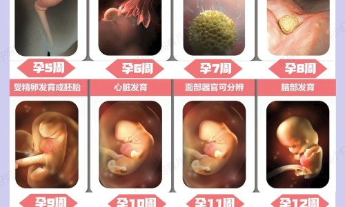 性生活会影响记忆力下降吗-权威同房过多记忆力会减退吗平台,分享专业性生活会影响记忆力知识_做爱后记忆力不好网