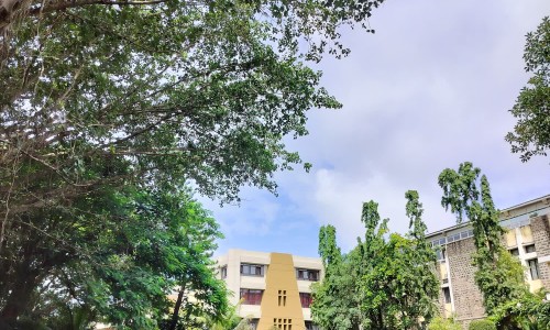 性生活过度会记忆力下降-权威同房过多记忆力会减退吗平台,分享专业性生活会影响记忆力知识_做爱后记忆力不好网